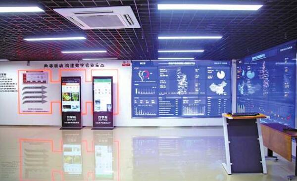 黔江:创新数字经济 建设智慧城市